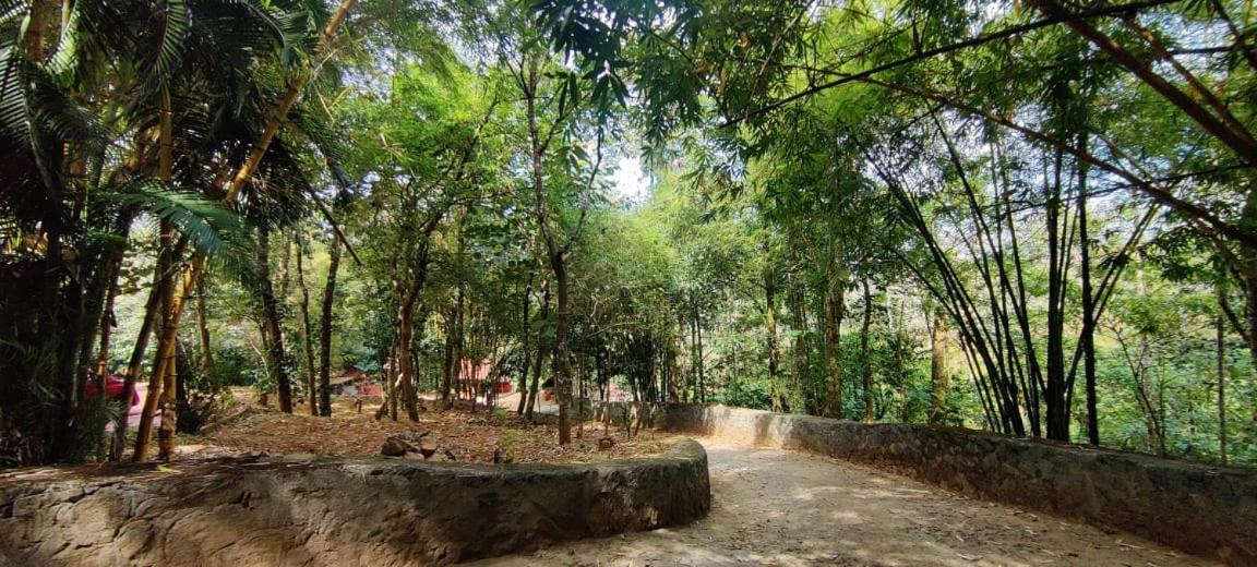 Clay Resort By Bestinn Leisure - Wayanad Padinjarathara Luaran gambar